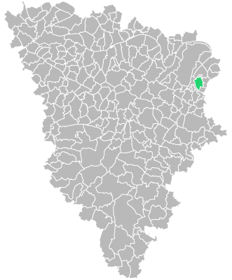 Destruction guepes et frelons à Le-Vésinet (Yvelines-78)