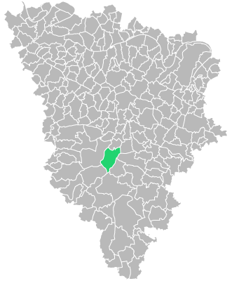 Destruction guepes et frelons à Les-Bréviaires (Yvelines-78)