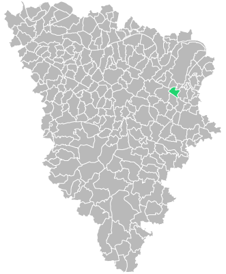 Destruction guepes et frelons à L’Étang-la-Ville (Yvelines-78)