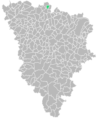 Destruction guepes et frelons à Montalet-le-Bois (Yvelines-78)