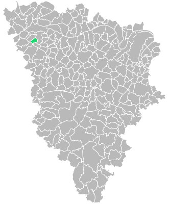 Destruction guepes et frelons à Ménerville (Yvelines-78)