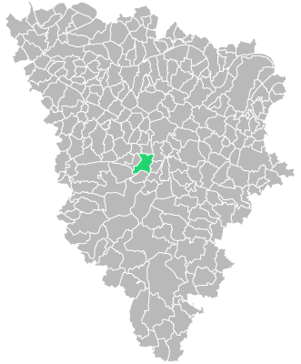 Destruction guepes et frelons à Méré (Yvelines-78)