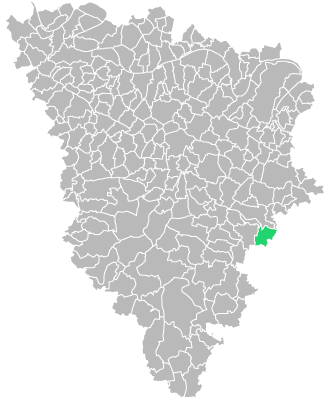 Destruction guepes et frelons à Saint-Rémy-lès-Chevreuse (Yvelines-78)