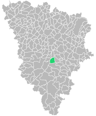 Destruction guepes et frelons à Saint-Rémy-l’Honoré (Yvelines-78)