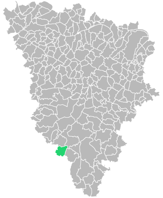 Destruction guepes et frelons à Émancé (Yvelines-78)