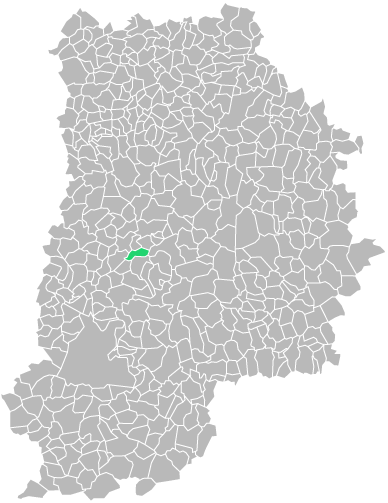 Destruction guepes et frelons à Andrezel (seine-et-marne-77)
