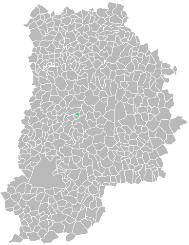 Destruction guepes et frelons à Argentières (seine-et-marne-77)