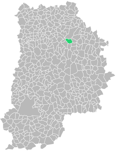 Destruction guepes et frelons à Aulnoy (seine-et-marne-77)