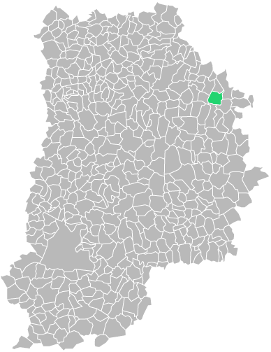 Destruction guepes et frelons à Bellot (seine-et-marne-77)