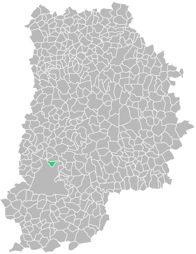 Destruction guepes et frelons à Bois-le-Roi (seine-et-marne-77)
