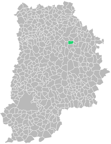 Destruction guepes et frelons à Boissy-le-Châtel (seine-et-marne-77)