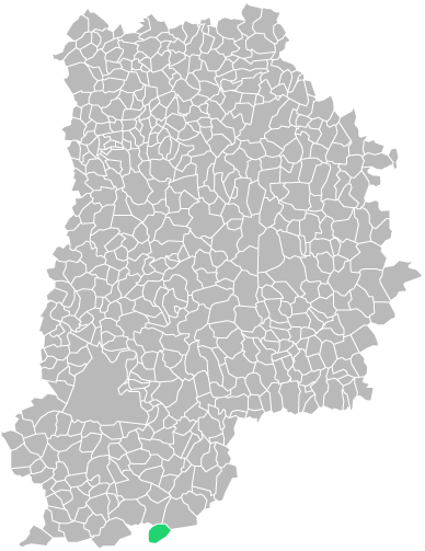 Destruction guepes et frelons à Bransles (seine-et-marne-77)