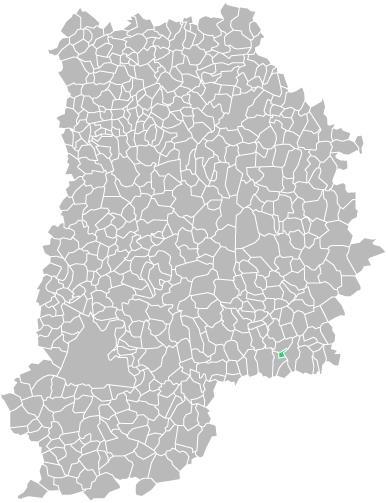 Destruction guepes et frelons à Bray-sur-Seine (seine-et-marne-77)