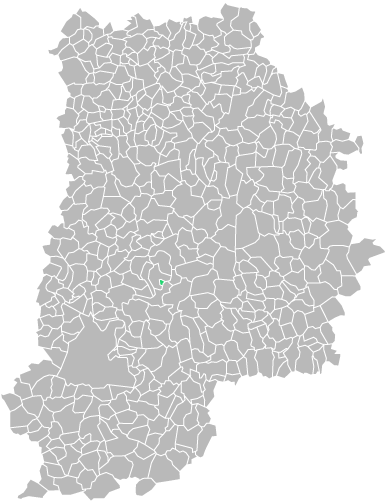 Destruction guepes et frelons à Bréau (seine-et-marne-77)