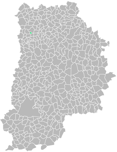 Destruction guepes et frelons à Carnetin (seine-et-marne-77)