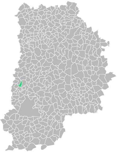 Destruction guepes et frelons à Cesson (seine-et-marne-77)