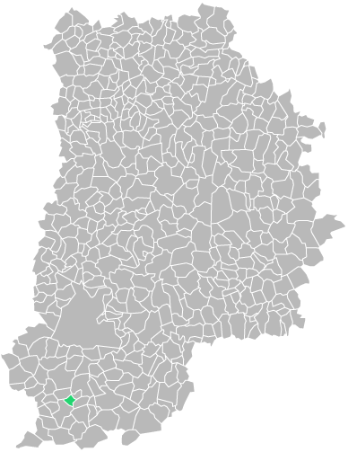 Destruction guepes et frelons à Châtenoy (seine-et-marne-77)