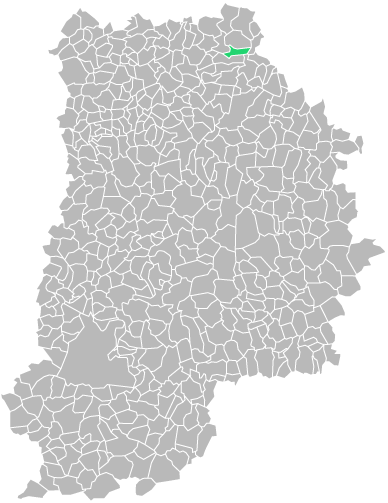 Destruction guepes et frelons à Cocherel (seine-et-marne-77)