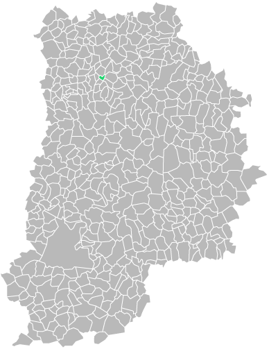 Destruction guepes et frelons à Condé-Sainte-Libiaire (seine-et-marne-77)