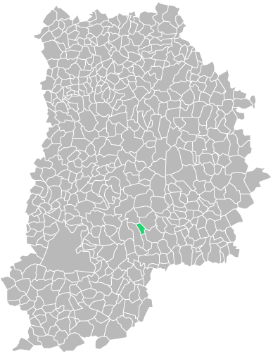 Destruction guepes et frelons à Coutençon (seine-et-marne-77)