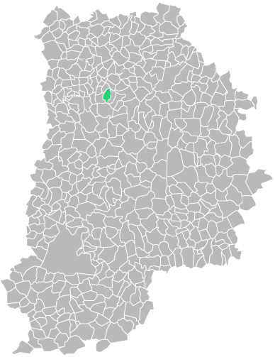 Destruction guepes et frelons à Coutevroult (seine-et-marne-77)