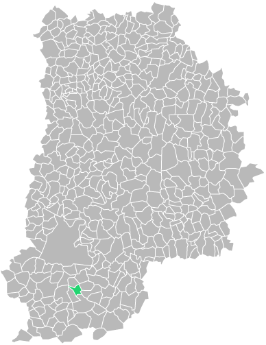 Destruction guepes et frelons à Darvault (seine-et-marne-77)