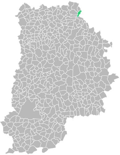Destruction guepes et frelons à Dhuisy (seine-et-marne-77)