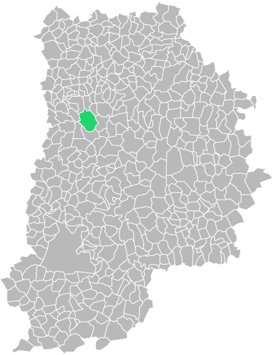 Destruction guepes et frelons à Favières (seine-et-marne-77)