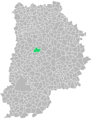 Destruction guepes et frelons à Fontenay-Trésigny (seine-et-marne-77)