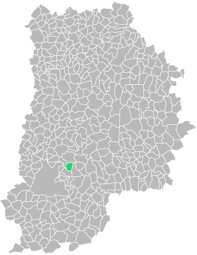 Destruction guepes et frelons à Féricy (seine-et-marne-77)