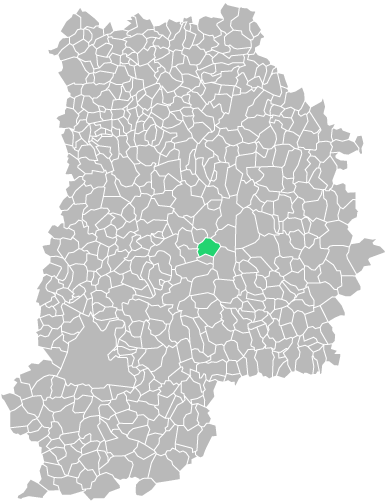 Destruction guepes et frelons à Gastins (seine-et-marne-77)