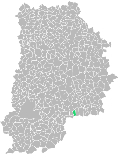 Destruction guepes et frelons à Gravon (seine-et-marne-77)