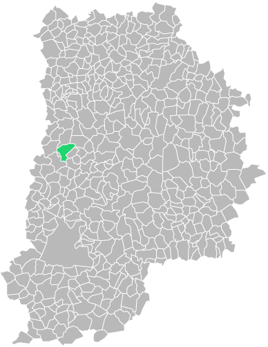 Destruction guepes et frelons à Grisy-Suisnes (seine-et-marne-77)
