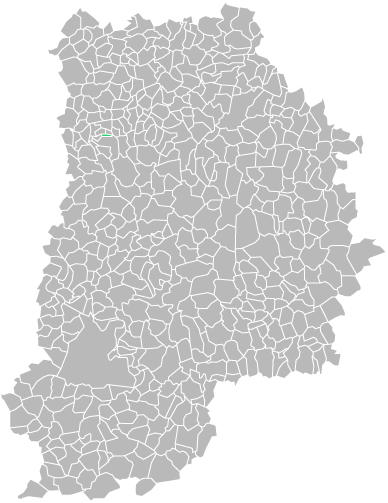 Destruction guepes et frelons à Guermantes (seine-et-marne-77)