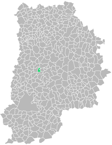 Destruction guepes et frelons à Guignes (seine-et-marne-77)