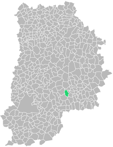 Destruction guepes et frelons à Gurcy-le-Châtel (seine-et-marne-77)