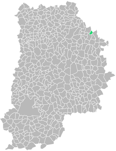 Destruction guepes et frelons à Hondevilliers (seine-et-marne-77)