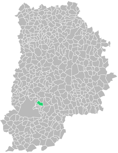 Destruction guepes et frelons à Héricy (seine-et-marne-77)
