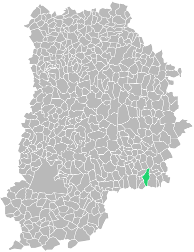 Destruction guepes et frelons à Jaulnes (seine-et-marne-77)