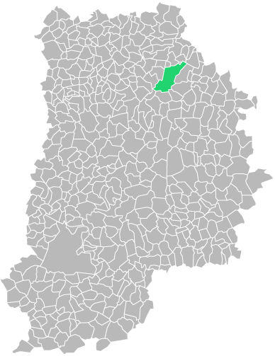 Destruction guepes et frelons à Jouarre (seine-et-marne-77)