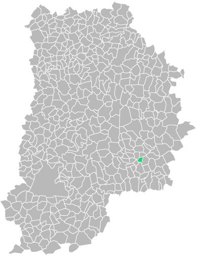 Destruction guepes et frelons à Jutigny (seine-et-marne-77)