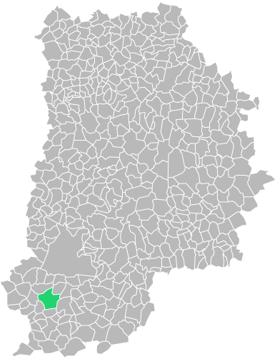 Destruction guepes et frelons à Larchant (seine-et-marne-77)