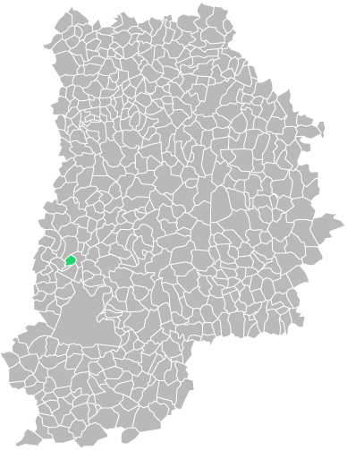 Destruction guepes et frelons à Le-Mée-sur-Seine (seine-et-marne-77)