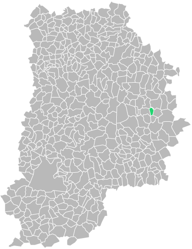 Destruction guepes et frelons à Les-Marêts (seine-et-marne-77)