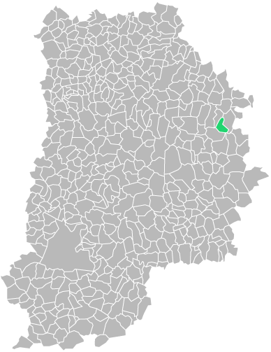Destruction guepes et frelons à Lescherolles (seine-et-marne-77)