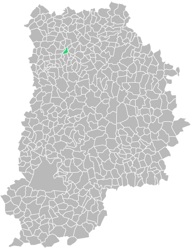 Destruction guepes et frelons à Lesches (seine-et-marne-77)