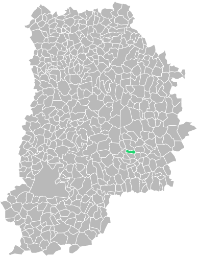 Destruction guepes et frelons à Lizines (seine-et-marne-77)