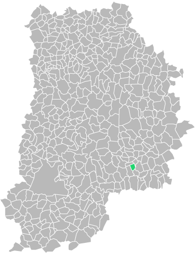 Destruction guepes et frelons à Luisetaines (seine-et-marne-77)