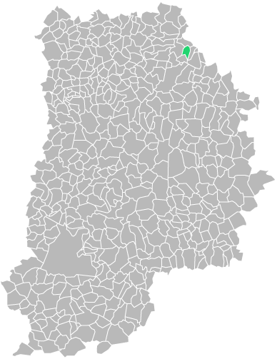 Destruction guepes et frelons à Luzancy (seine-et-marne-77)