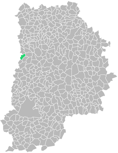 Destruction guepes et frelons à Lésigny (seine-et-marne-77)